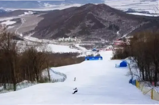 哈尔滨体育学院：冰雪领域的专业体育院校深度解析